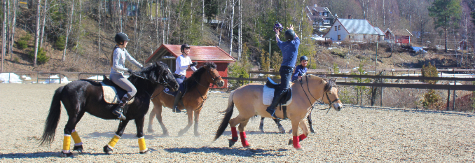 Horseball